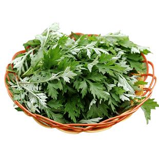 新鲜艾草野生现摘当季食用野菜生艾草叶艾蒿清明草艾青团鲜嫩艾叶