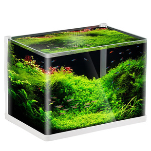 热弯超白玻璃鱼缸敞开式热带免换水自循环鱼缸客厅家用透明水族箱