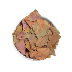 干柿子叶中药材新鲜柿子叶茶泡茶水干货柿子叶粉柿叶非霜后柿子叶