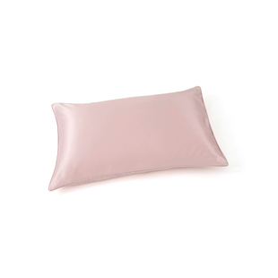 NIGHTOLOGY晚安学22姆米真丝枕套100桑蚕丝单只礼盒装2025新款