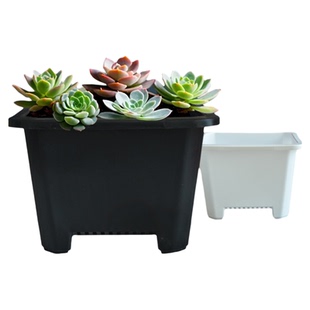 小号多肉老桩群韩式景天花盆控根黑色塑料加厚白色大口径方盆