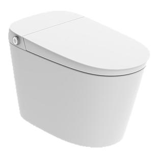 瑞尔特智能马桶全自动翻盖等离子杀菌无水压限制电动坐便器UX7