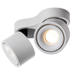 麦丹妮 客厅卧室明装防眩不吊顶智能无主灯射灯可调角度中山灯具