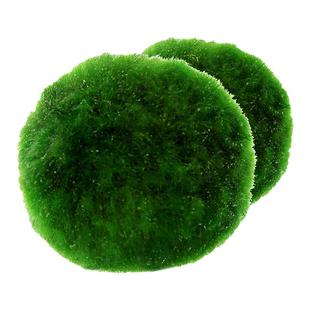 绿藻球虾粮鱼缸水族箱懒人造景青藻绿丝绒水藻球鱼虾水草缸绿毛球