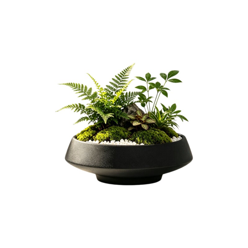 中式简约陶瓷无孔水培苔藓球花盆