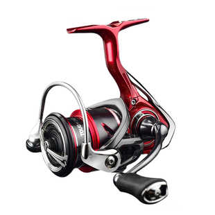 DAIWA达亿瓦25款飞鸽FUEGO矶钓路滑路亚海钓远投斜口浅渔线纺车轮