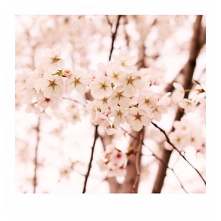 沉墨方形明信片定制13厘米照片卡片打印来图设计制作个性diy生日贺卡贺卡中国风商务创意卡片印刷印售后卡