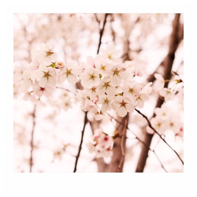 沉墨定制厘米diy商务风明信片