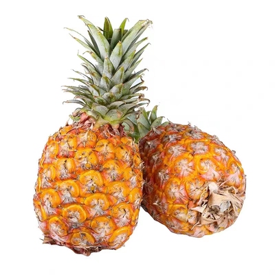 海南芒果凤梨礼盒顺丰纯甜香大果