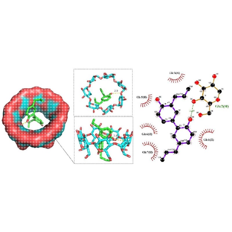 环湖精与分子对接