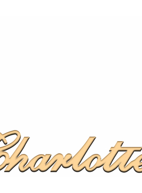 定制照片LOGO文字团体项链