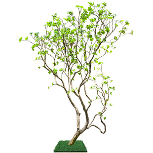 上海美空仿真吊钟树马醉木室内摆件假绿植盆栽橱窗造景树室内假树