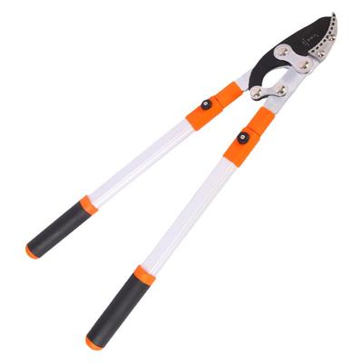 园之助大力修枝剪果树修枝