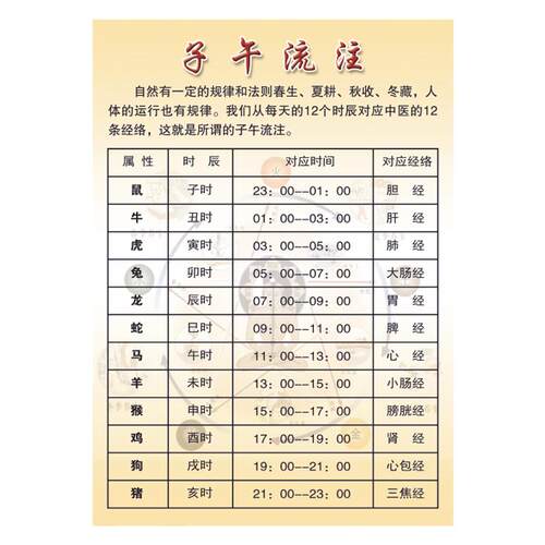 十二经络对应时辰时间展板 子午流注对照表海报 中医理论知识背胶