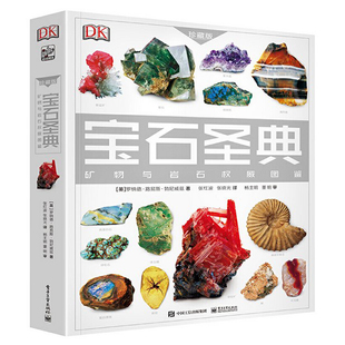 DK宝石圣典书儿童矿石标本盒地质科普矿物与岩石权威图鉴水晶摆件