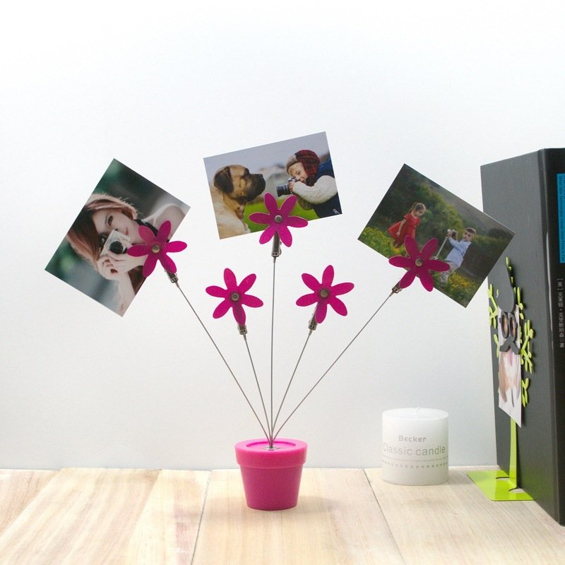 厂家直供INS创意设计家居店铺塑料桌面花盆头照片花装饰5夹彩色