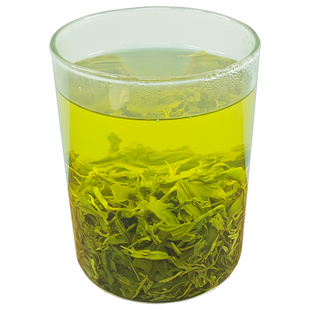 浓香日照绿茶2025年新茶叶500g秋茶自产自销春炒青袋装两车旗舰店