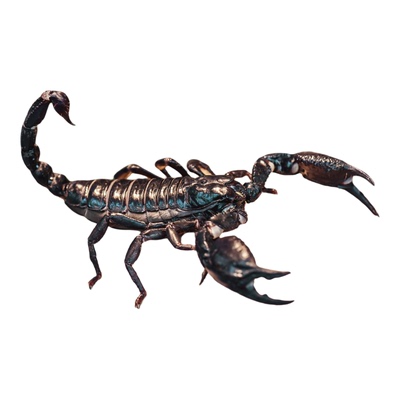 松椰子纤维除味除臭天然有机透气