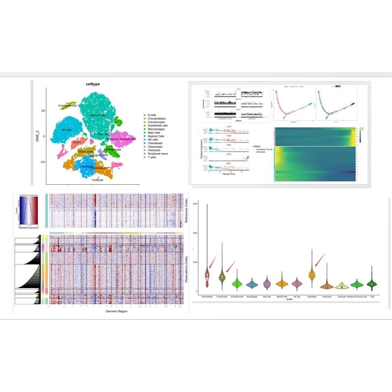 生信分析/单细胞测序分析/infercnv分析/拟时序分析