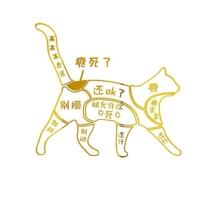 网红墙面贴纸画易优亚克力宠物店