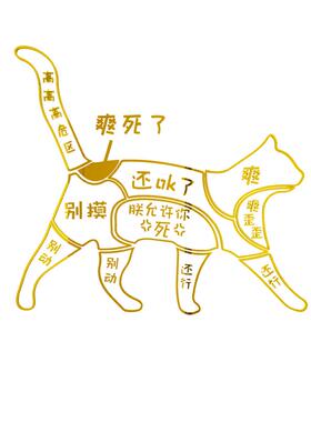 网红墙面贴纸画易优亚克力宠物店