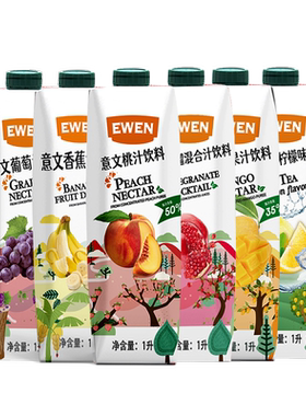 意文原装进口果汁饮料6种口味