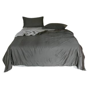 泽兮家居 柔软凉感天丝夏凉被夏季冰丝夏被四件套空调被220x240cm