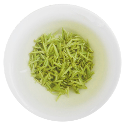 2025新茶四川茶叶蒙顶山明前绿茶