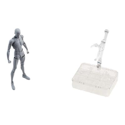 绘画动漫人体模型关节艺术品