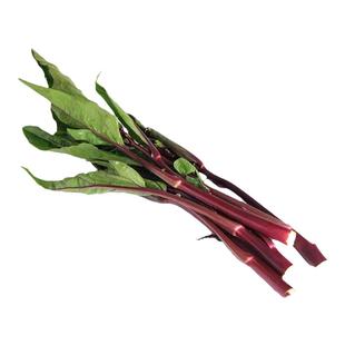 【顺丰包邮】10斤新鲜红菜苔打霜红油菜苔湖北洪山苔紫红菜薹菜芯