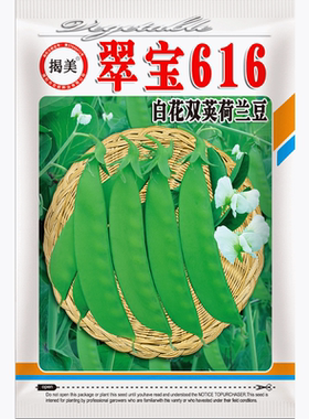 揭美白花双荚荷兰豆种子软壳