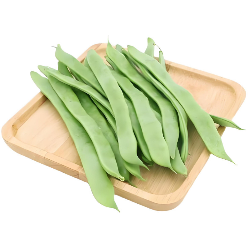 地豆王一号豆角种子无架四季豆