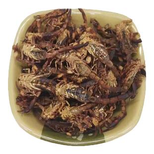 中药材全虫100克足干全蝎清水无盐全干蝎子可磨全蝎粉另有蜈蚣