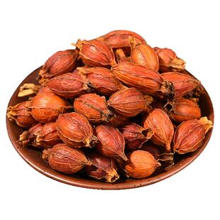 中药材栀子茶栀子果泡茶500g山栀子菊苣红栀子干食用黄栀子花茶