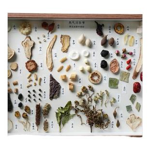 中药标本摆件中草药材地图香料调料展示墙中医药画展示装饰画分布