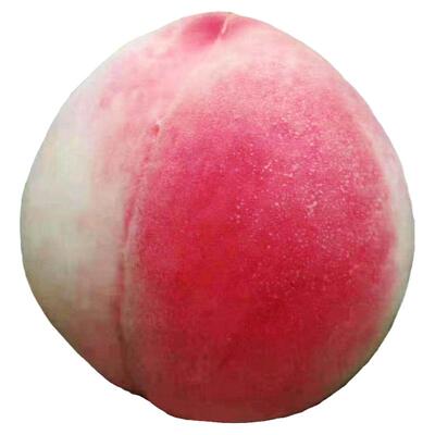 秦安蜜桃仓方早生天水特产桃子
