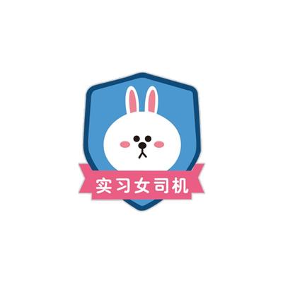 实习磁吸创意文字个性标志装饰贴