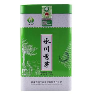 2025新茶永川秀芽特级明前绿茶雀顶重庆特产头采毛尖毛峰500g散装