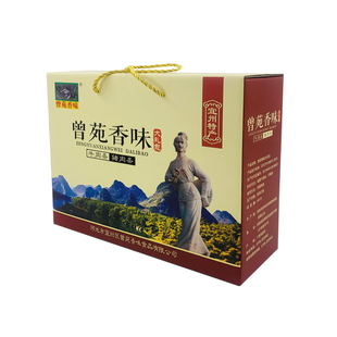广西河池宜州特产曾苑香味猪肉条礼盒装送礼佳品休闲猪肉铺干零食