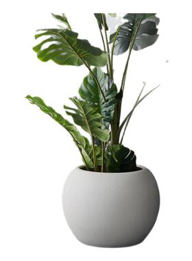 特大号陶瓷花盆仿真绿植花盆