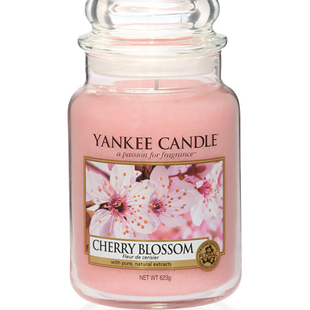 送点火器yankeecandle美国杨洋扬基香薰蜡烛623g大瓶芳香清新持久