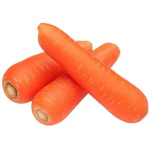 胡萝卜种籽种红罗水果萝卜四季秋冬蔬菜种籽大全胡萝卜种孑种籽