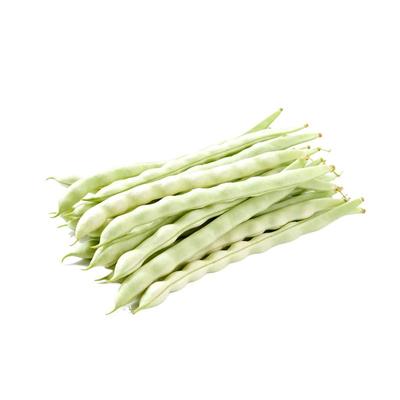 新鲜豆角白不老白豆角当季蔬菜