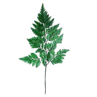 高山羊齿叶蕨永生花玻璃罩花环团扇配diy手工制作材料包叶子