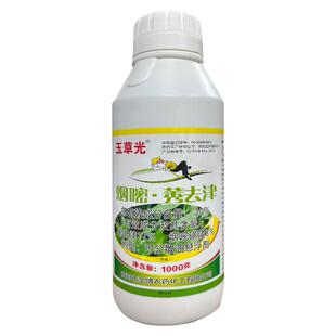 玉草光玉米苗后专用除草剂全田喷洒不伤玉米杀大草封杀双效除草剂
