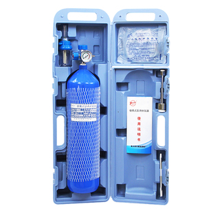 医用便携式氧气瓶罐供氧器高原旅游老人孕妇氧气袋包急救吸氧器