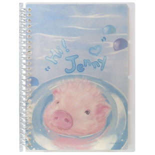 道林活页本可拆卸b5塑料夹可爱卡通圆角替换芯70克纸易拉夹标签贴纸学生笔记本本子文具小清新记事本26孔外壳