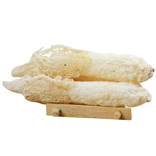 25年贵州特产织金竹荪精选14cm左右50g 送礼盒红托短裙竹笙新干货