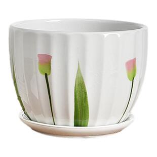 花盆陶瓷大号蝴蝶兰发财树君子兰文竹吊兰仙人掌绿萝兰花花盆家用