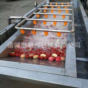 大型全自动水果清洗机 草莓蓝莓气泡清洗机 工业喷淋苹果洗果机